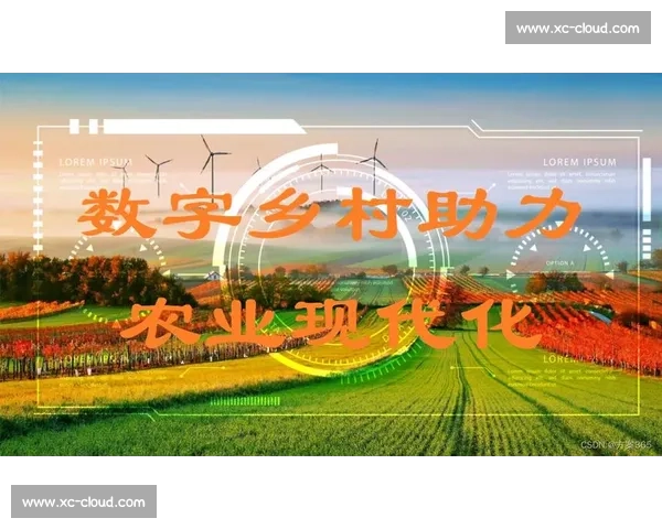 全面提升个人能力的有效方法与实践路径探索