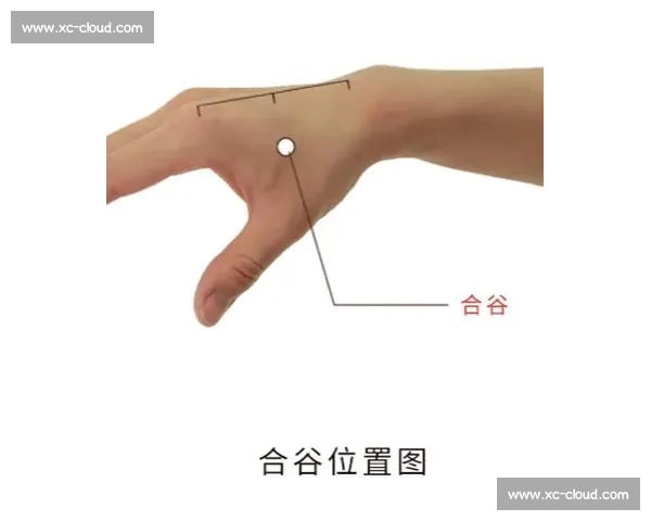 有效缓解疲劳的多种方法与技巧，助你恢复活力提升工作效率