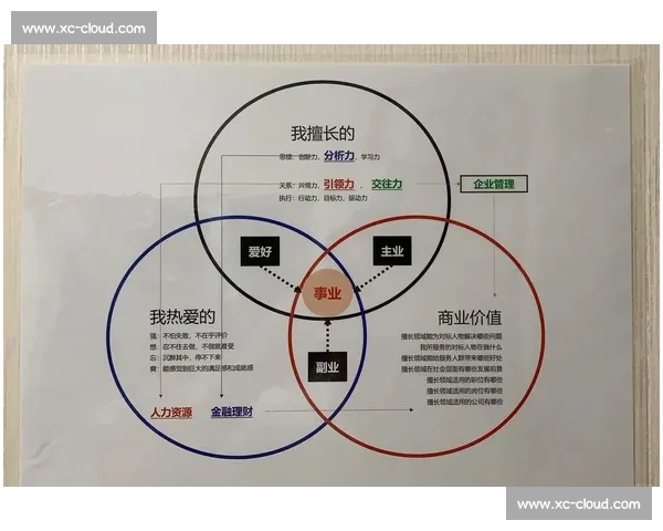 职业发展与未来规划指南助你明确方向实现理想目标